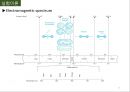 [물리화학 실험] 형광물질의 소광 (Fluorescence Quenching) 6페이지