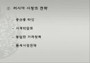 ROMANSON 로만손 기업企業분석과 로만손 경영전략과 글로벌전략 분석과 향후전망연구 PPT 24페이지