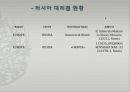 ROMANSON 로만손 기업企業분석과 로만손 경영전략과 글로벌전략 분석과 향후전망연구 PPT 25페이지