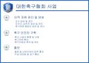 [조직분석]대한축구협회 조직 분석 8페이지
