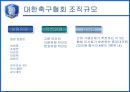 [조직분석]대한축구협회 조직 분석 12페이지