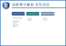 [조직분석]대한축구협회 조직 분석 16페이지