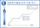[조직분석]대한축구협회 조직 분석 33페이지