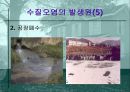 수질오염 10페이지