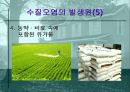 수질오염 12페이지