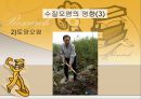 수질오염 17페이지