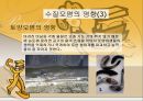 수질오염 18페이지