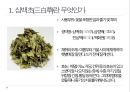 약용식물 삼백초 관찰일지 4페이지
