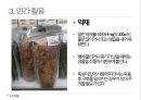 약용식물 삼백초 관찰일지 20페이지