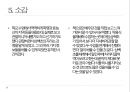 약용식물 삼백초 관찰일지 24페이지