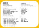 애니메이션산업과 원소스멀티유져전략 OSMU Strategy,뽀로로,포켓몬스터,해리포터 2페이지
