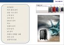 Samsonite Life’s a Journey쌤소나이트 브랜드 모토인 ‘삶은 곧 여행이다',STP 분석
 2페이지
