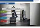 Samsonite Life’s a Journey쌤소나이트 브랜드 모토인 ‘삶은 곧 여행이다',STP 분석
 20페이지