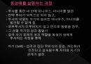 융의 분석심리학 13페이지