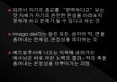 융의 분석심리학 47페이지