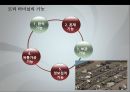 물류기지의 이해,물류기지의 형태
 8페이지
