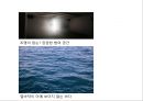 건축에서 바라보는 메를로 퐁티 지각의 현상학 6페이지