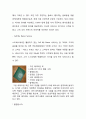 스타벅스Starbucks 브랜드분석과 스타벅스 마케팅(SWOT,STP,4P)분석및 다양한 마케팅전략 분석과 스타벅스 미래전망분석 5페이지