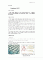 Graphene그래핀, CNT조사 (성질, 합성, 제조, 응용분야, 대체 가능성) 2페이지