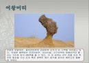 [조선대] 새로운 도전 국제관광 레포트 18페이지