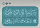 [조선대] 새로운 도전 국제관광 레포트 32페이지