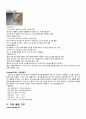 emergency kit 10페이지