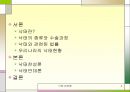 낙태 찬반론 2페이지