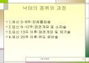 낙태 찬반론 4페이지