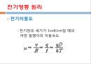 단백질 전기영동(생화학실험) 5페이지
