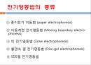 단백질 전기영동(생화학실험) 6페이지