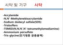 단백질 전기영동(생화학실험) 11페이지