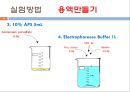 단백질 전기영동(생화학실험) 15페이지
