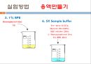 단백질 전기영동(생화학실험) 16페이지
