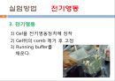 단백질 전기영동(생화학실험) 20페이지