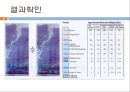 단백질 전기영동(생화학실험) 24페이지