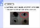 Gas chromatography에 의한 유기물의 정성분석 (기기분석) 39페이지