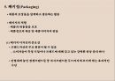 제품관리와 제품수명주기 13페이지