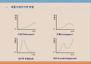 제품관리와 제품수명주기 22페이지