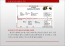 세계 통화 패권의 흐름 11페이지