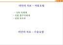 비만의 분류와 비만의 치료법 48페이지