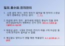 UV (UV-VIS 흡수 분광법에 의한 정성분석) PPT 17페이지