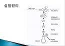 불꽃광도법 PPT 11페이지