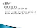 불꽃광도법 PPT 12페이지