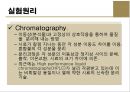 LC(액체크로마토그래피에 의한 정성분석) PPT 4페이지