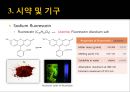 Spectrofluorometry (형광분석법) PPT 16페이지
