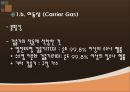 GC(Gas chromatography) PPT 11페이지