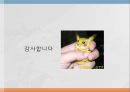 [Fe(CN)6]3- voltamogram PPT 23페이지