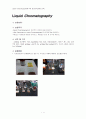 LC(액체크로마토그래피에 의한 정성분석) (결과보고서)1 1페이지