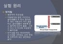 계란 노른자로 부터 막지방질,  pc 추출 12페이지