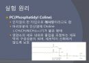 계란 노른자로 부터 막지방질,  pc 추출 13페이지